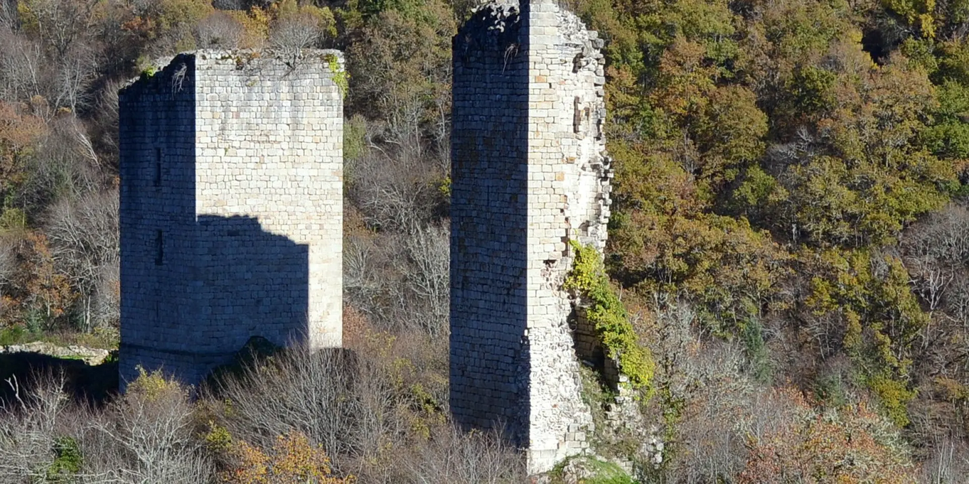 2015 11 08 20151108 Tours De Carbonnieres Gros Plan R.jpg