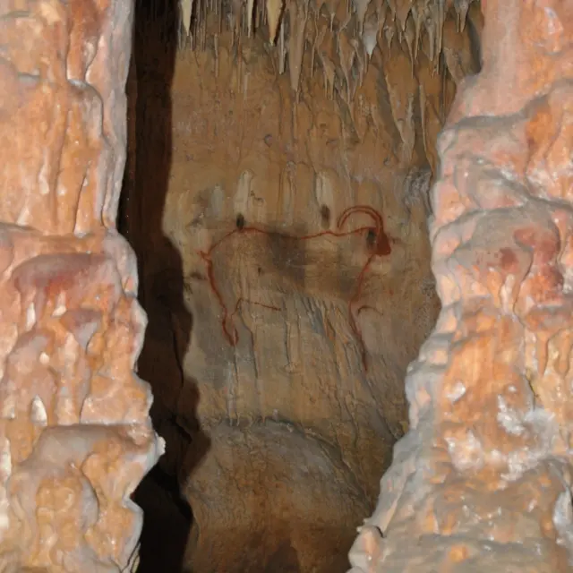 560028152 1543231112.jpg