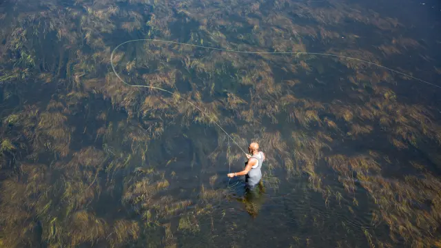 C Malika Turin 11.jpg