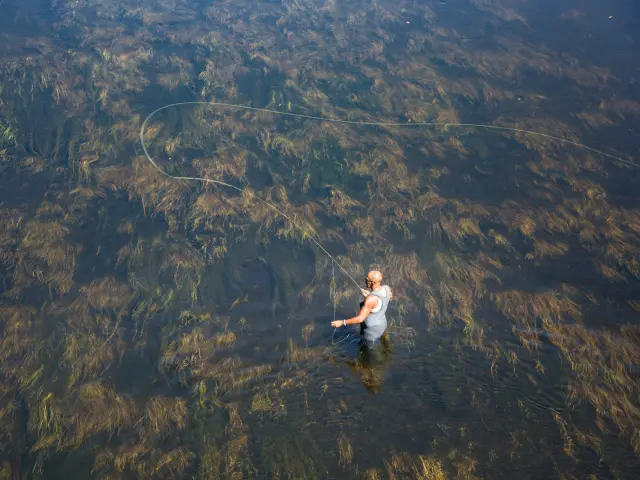 C Malika Turin 11.jpg