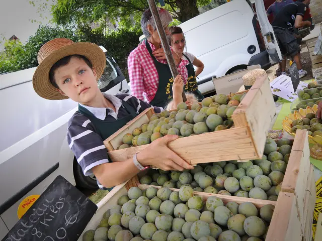 Agenda Marche Prune Carennaccotvd Cochise Ory.jpg