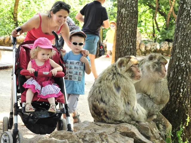Campgb En Famille Avec Les Singes Rocamadour Otvd Ory4591.jpg