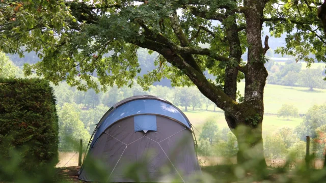 campingles_hirondelles.jpg