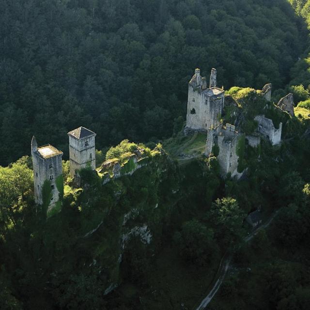 Tours de Merles