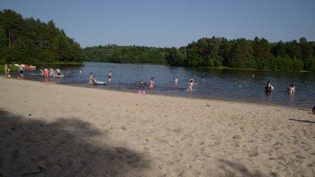 Dsc 0209.jpg