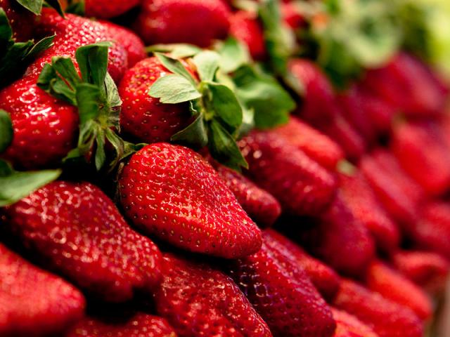 Fraise 9.jpg