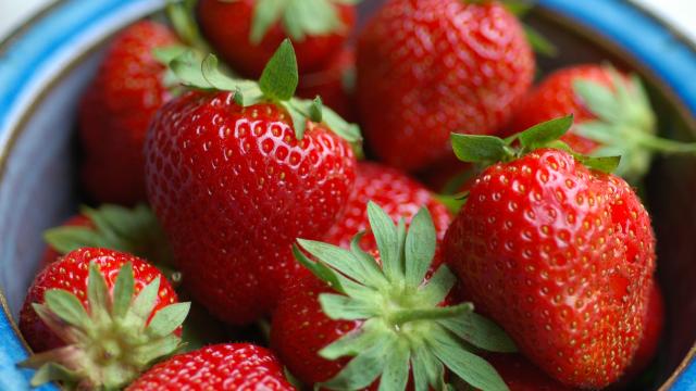 fraises_6.jpg