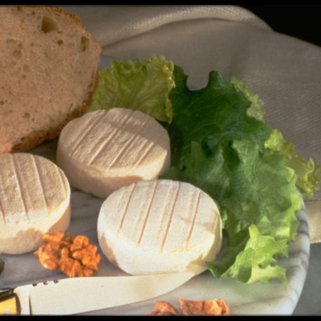 Fromage Rocamadourrlot Touisme.jpg