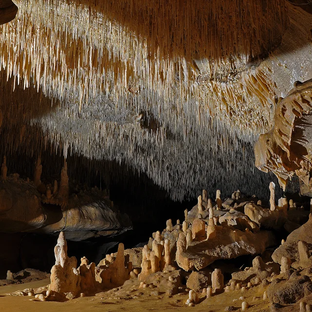 Grottes De Cougnac Gourdon Plafond Salle 0.jpg