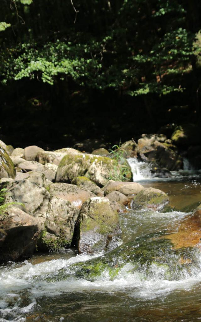 Img 2387 C .jpg