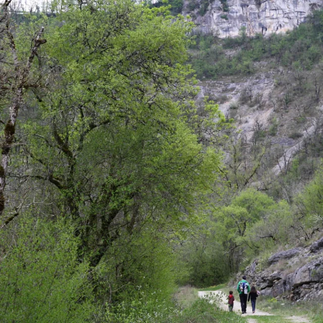 La Vallee Le Causse 8.jpg