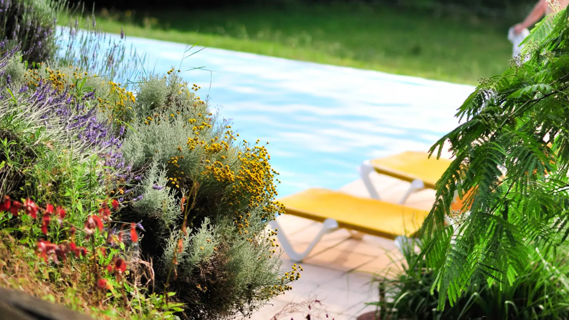 Locations Vacances Dordogne.jpg