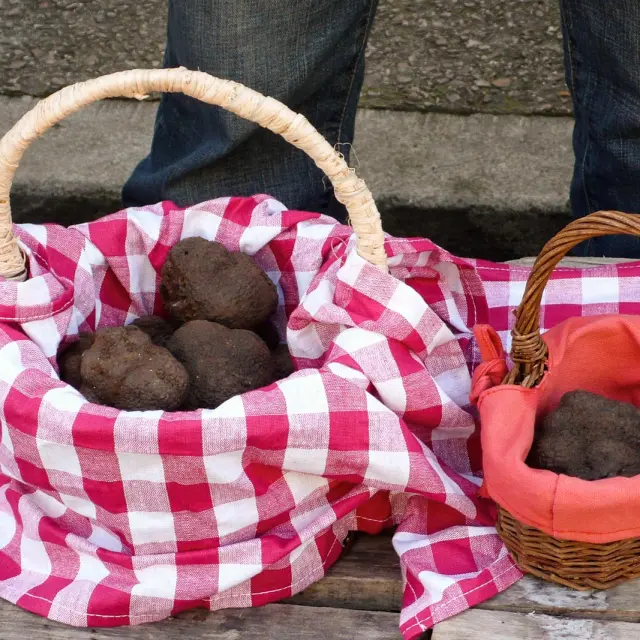 Marché aux Truffes à Lalbenque