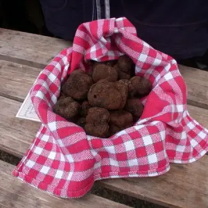 Marche Aux Truffes