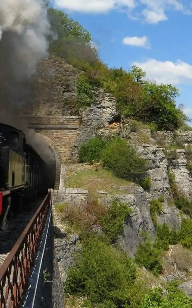 Martel Truffadou.jpg