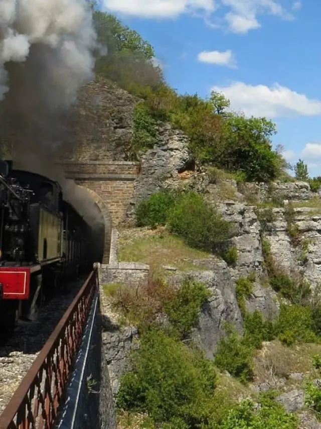 Martel Truffadou.jpg