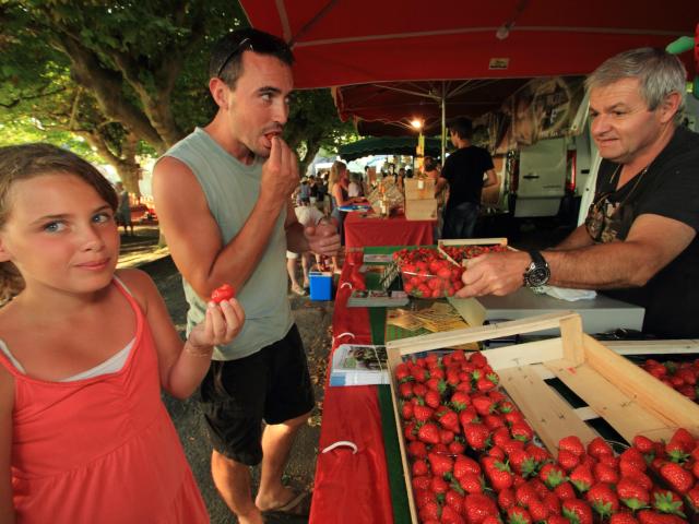 Mdp Ayen Fraises 5 Malikaturin 2014.jpg 1920px.jpg