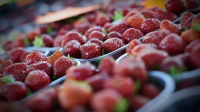 Miers Marche.874cotvd Cochise Ory.jpg