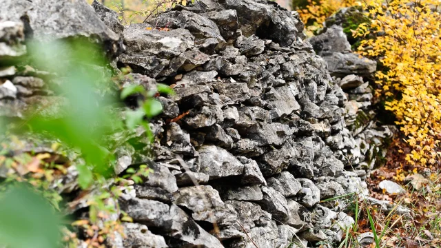 Pnr Causses Du Quercy Muret En Pierres Seches.jpg