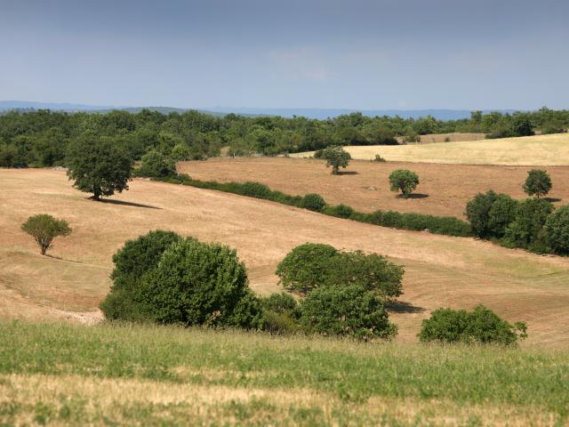 Pnr Des Causses Du Quercy J. Morel.jpg