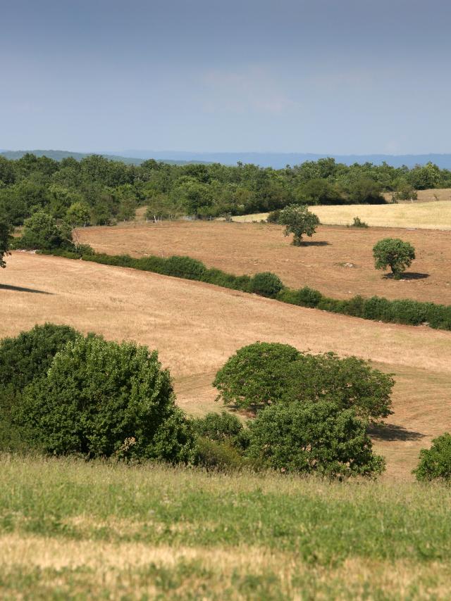 Pnr Des Causses Du Quercy J. Morel.jpg