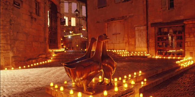sarlat_nuit_oie.jpg