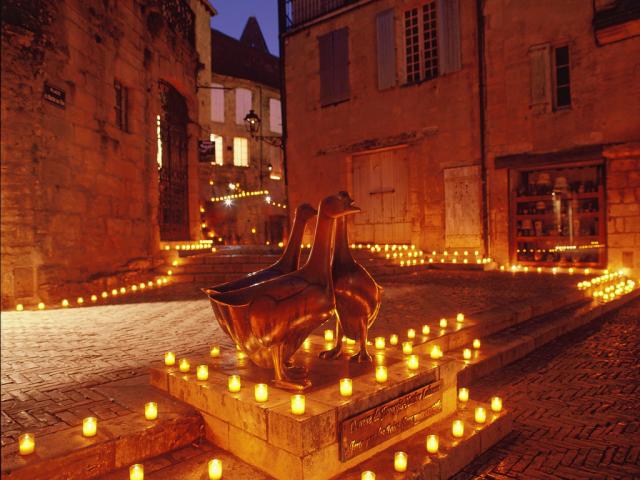 sarlat_nuit_oie.jpg