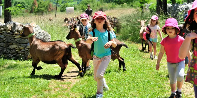 Site Borie Imbert Rocamadourcotvd Cochise Ory1809 C Cochise.jpg