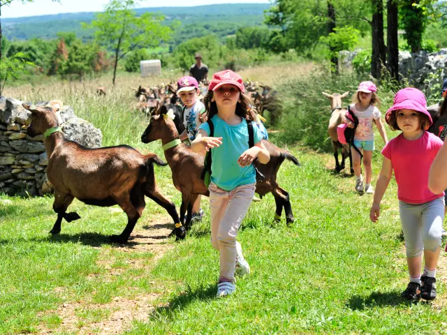 Site Borie Imbert Rocamadourcotvd Cochise Ory1809 C Cochise.jpg