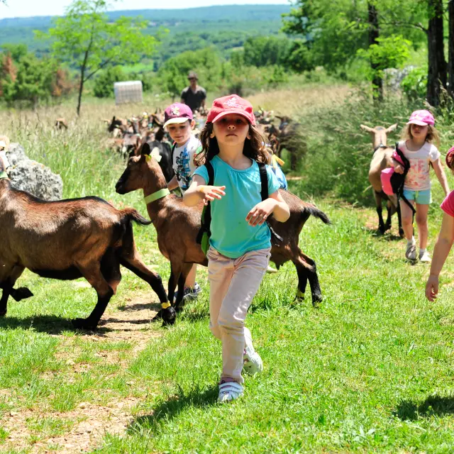 Site Borie Imbert Rocamadourcotvd Cochise Ory1809 C Cochise.jpg