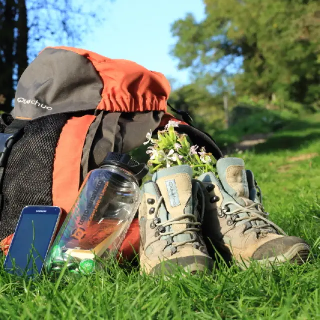 Terraaventurarmalikaturin 096.jpg