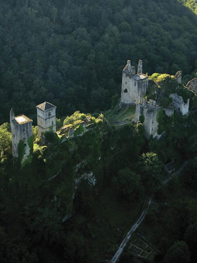 Tours de Merles