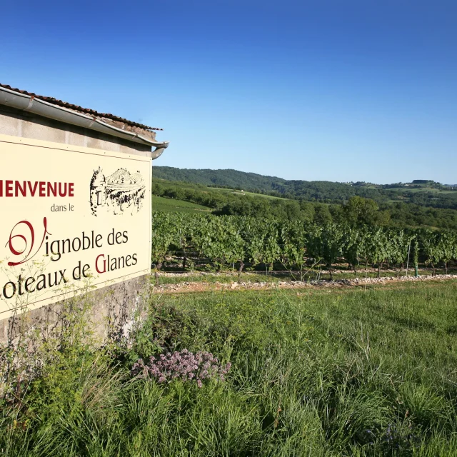 Vignoble De Glanes R Lot Tourisme J. Morel 3 0.jpg