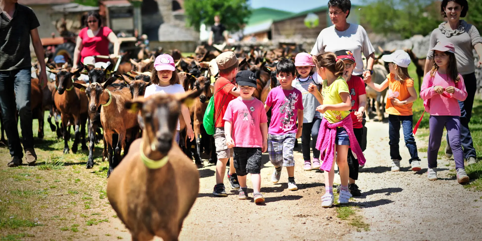 Visite Chevrerie Header Cochise.jpg