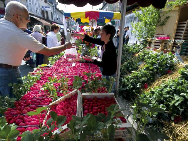 Marche Fraises 0.jpg