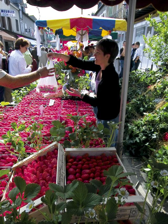 Marche Fraises 0.jpg