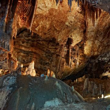 Caves, prehistory and Palaeolithic art in the Dordogne Valley Visit ...