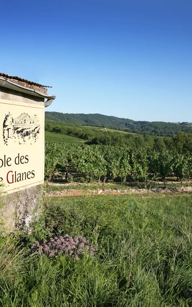 Vignoble De Glanes R Lot Tourisme J. Morel 3 0.jpg