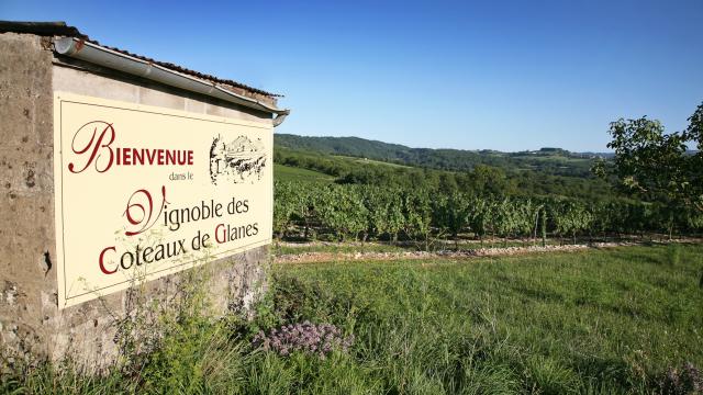 Vignoble De Glanes R Lot Tourisme J. Morel 3 0.jpg