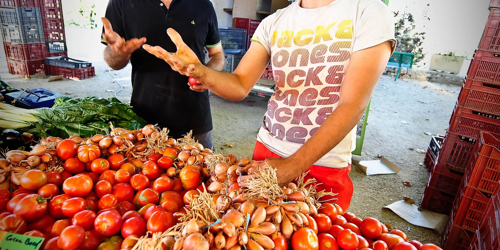 35 Miers Marche.830cotvd Cochise Ory.jpg