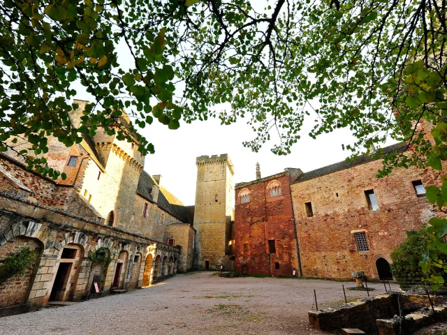 Visite De Site Castelnau La Cour .jpg