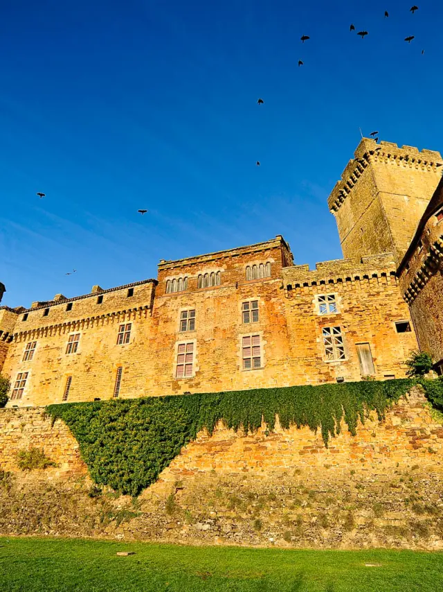Visite De Site Castelnau Les Remparts .jpg