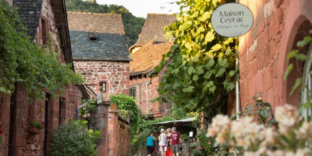 Visite Guidee Collonges Rue De La Barriere Malika Turin.jpg
