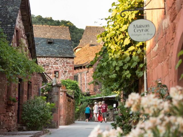 Visite Guidee Collonges Rue De La Barriere Malika Turin 0.jpg
