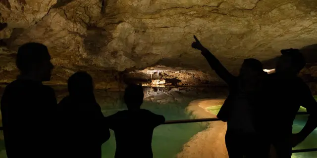 Le Lac des Gours - Visiteurs (2014)