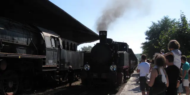 Le Trufadou à Martel