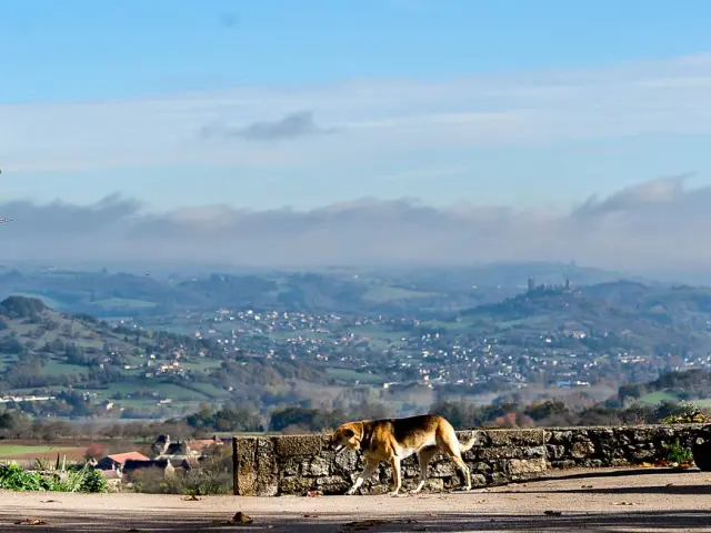 Visites Guidees Autoire Loubressac Panorama .jpg