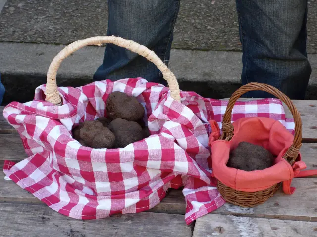 Marché aux Truffes à Lalbenque