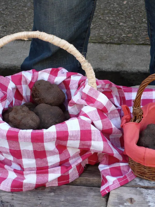 Marché aux Truffes à Lalbenque