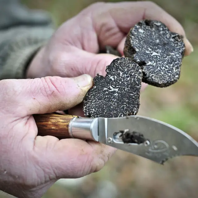 1218953221 1591711502.jpg